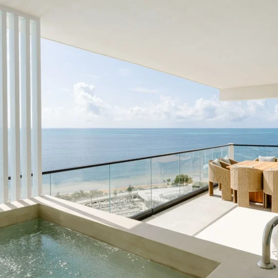 23115964_ImageLargeWidth