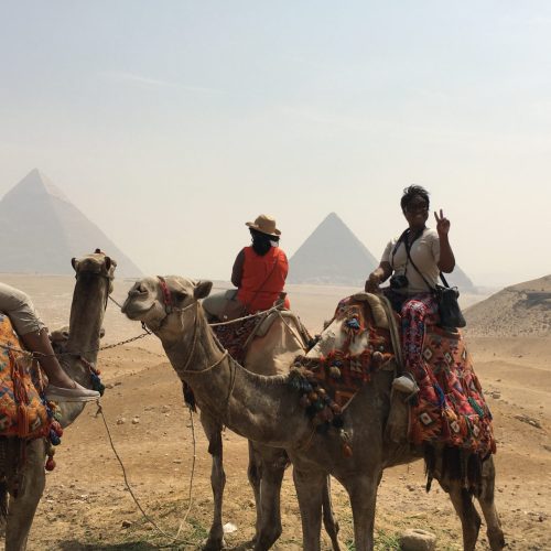 26091225634_4756f85949_o