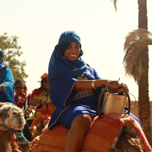 52189602100_9ab8934261_k