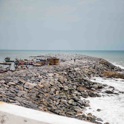 52544416134_6c893bc5e1_k