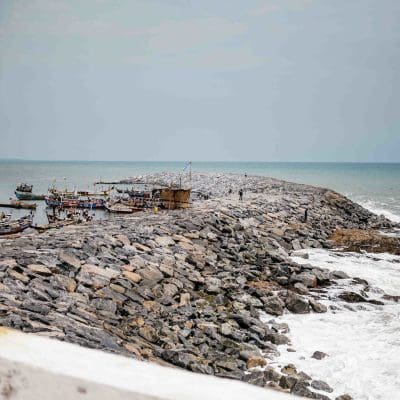 52544416134_6c893bc5e1_k