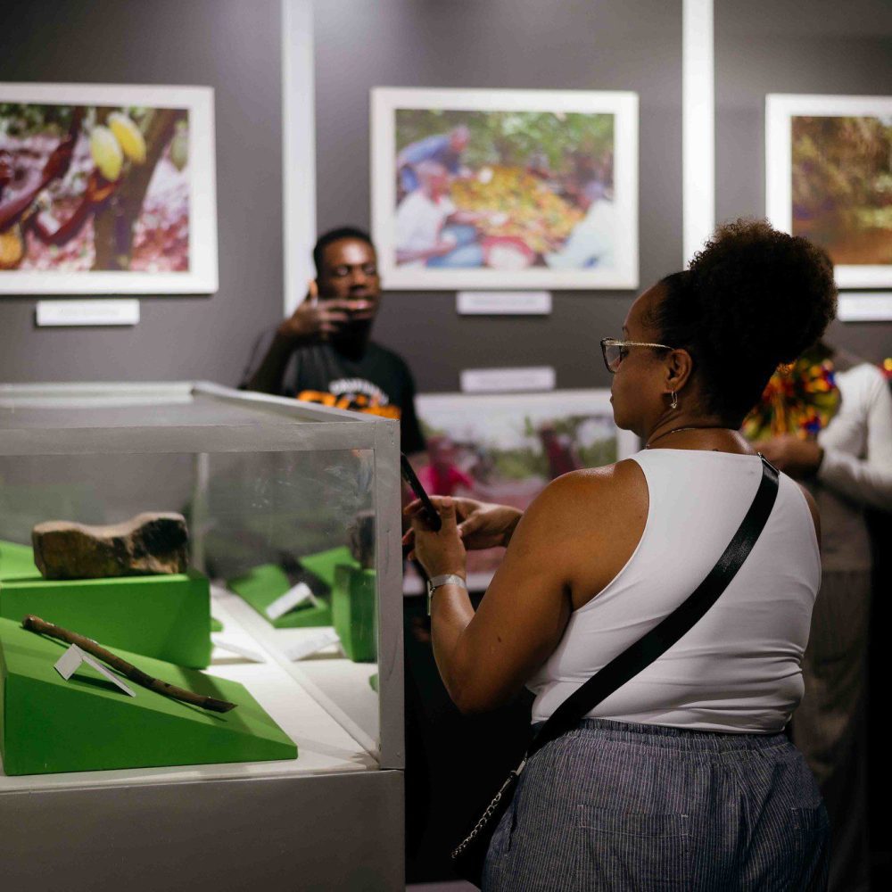 52544417184_bd67288818_k