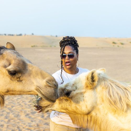 52724575588_7432d1c680_k