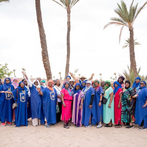 52942955743_b8948fa489_k