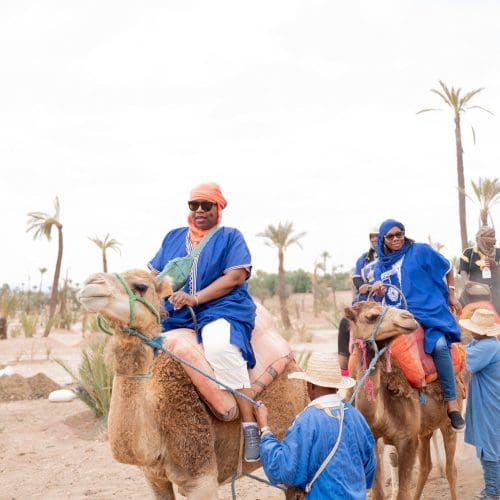 52942955878_8fe37ee6ec_k