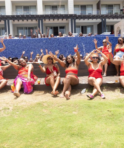 53034210620_ebfbf3a7fb_k