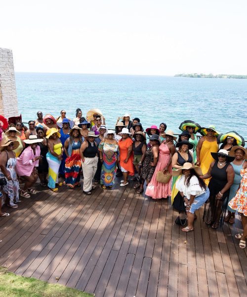 53034311428_59cda0d444_k