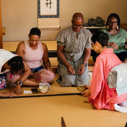 53102628462_dc21f221fb_c