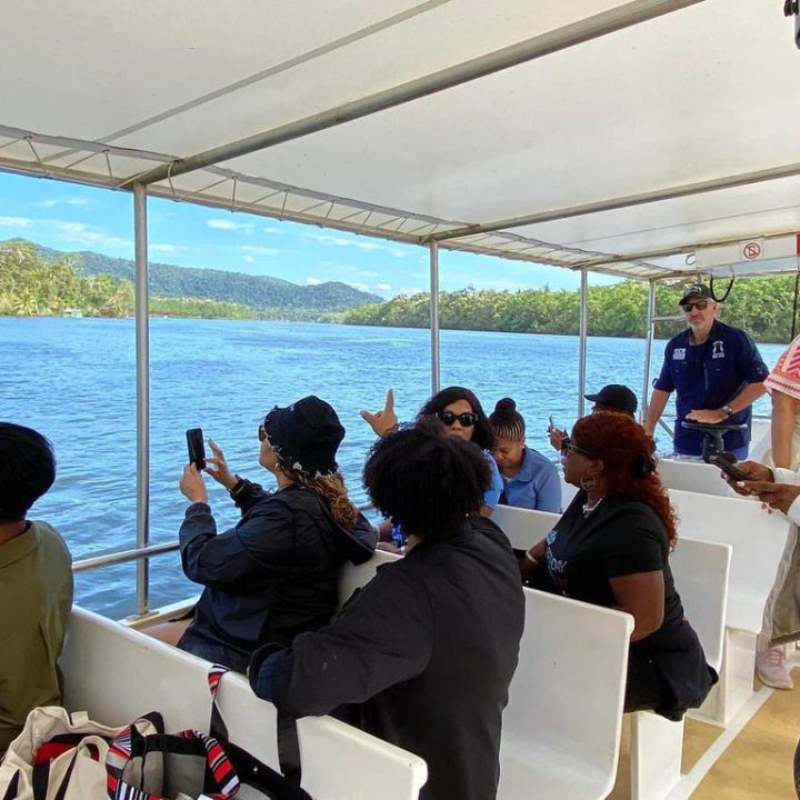 53766522224_a39dd990d6_b