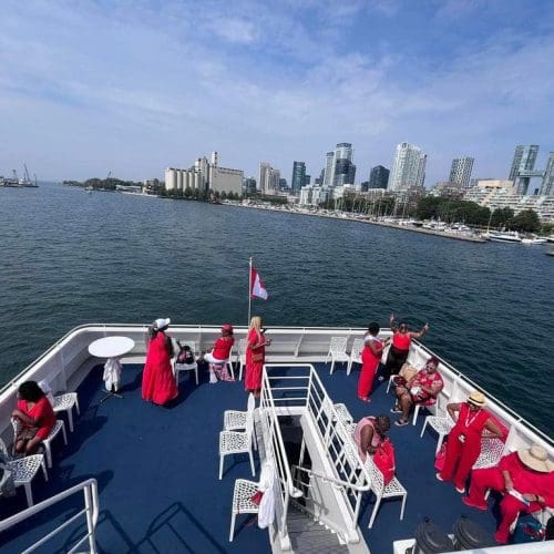 54209902122_4bcff863eb_b