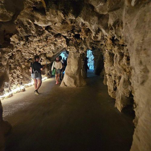 54211113653_ec1d038b43_c