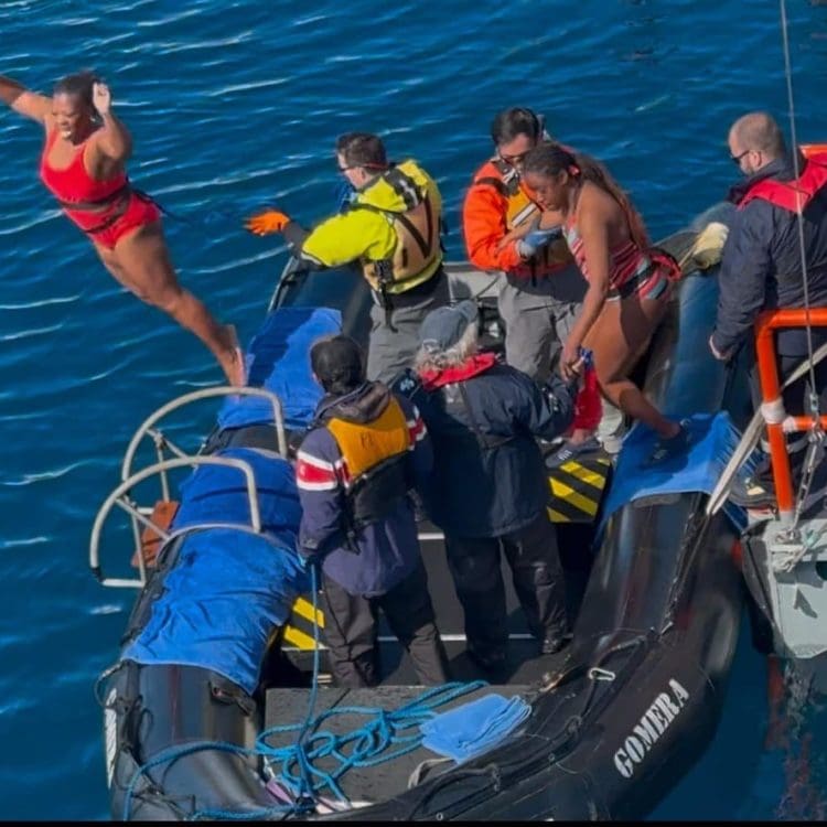 54242750487_59fdbee5f5_b