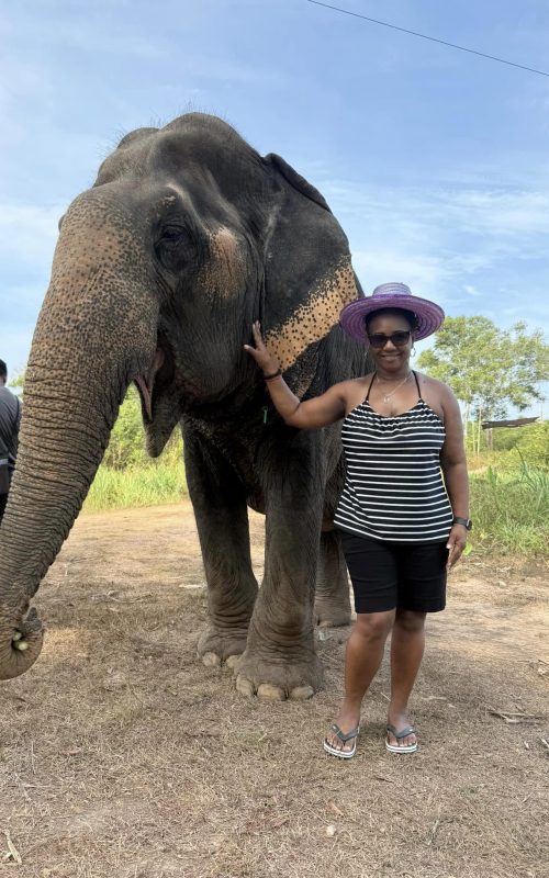 54341625136_4c4c80d6ca_k