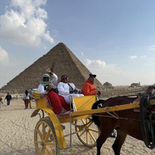 54399737874_376a9e11a6_k