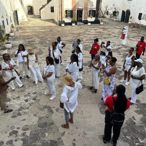 54556516754_76c952258a_c