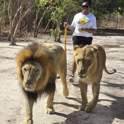 617871322_1318050393692326_188165284469825031_n