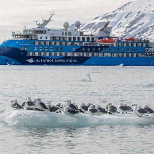 622b69ba2dc3e17ccb97f26be2bbf91a