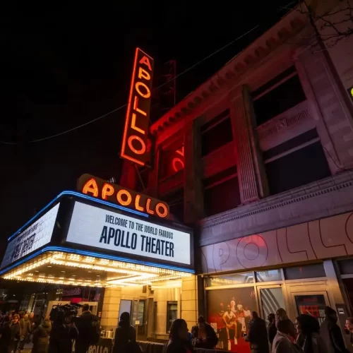 669069b385bc777f5a4e5064_apollo-default