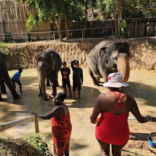 Thailand (21)